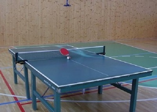 PING PONG CLUB sets up for a match.