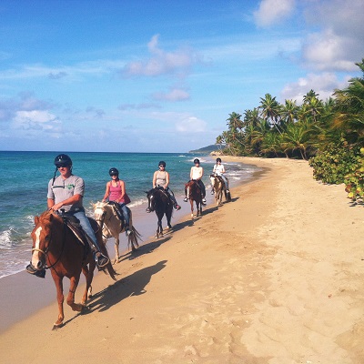 SENIOR ELAINA HITCHCOCK horseback rides on the beaches of Vieques Puerto Rico for Spring Break.  