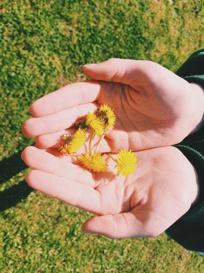 STUDENTS SHOW THE beauty in nature on Earth Day.