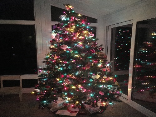 A CHRISTMAS TREE standing by a window. The tree was decorated with multi-colored lights and presents were placed underneath. 