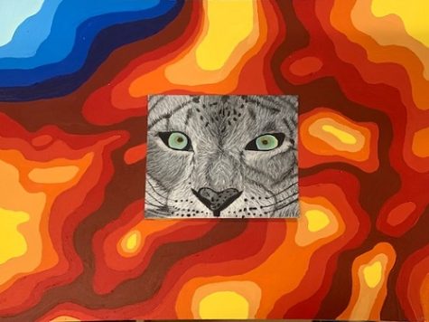 SENIOR AVA RICHS finished piece of her sustained investigation featuring endangered species. Rich chose a broad theme that would enable her to continue with the same theme throughout the school year.