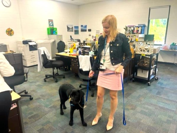 SOCIAL STUDIES TEACHER Courtney Bennis introduces Griffin, a service dog in training under her care. Bennis and Griffin are taking  a much needed break after a long day at school. 