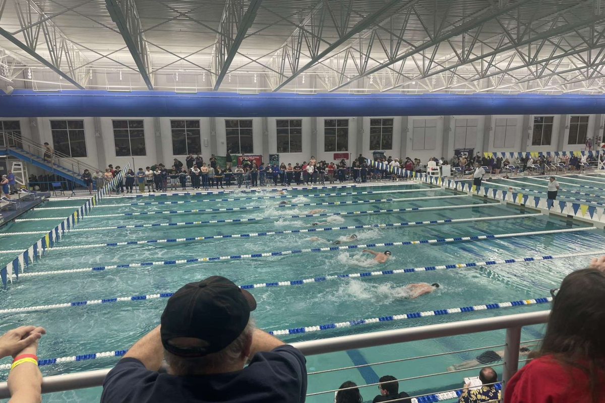 Swimmers dive into state competition