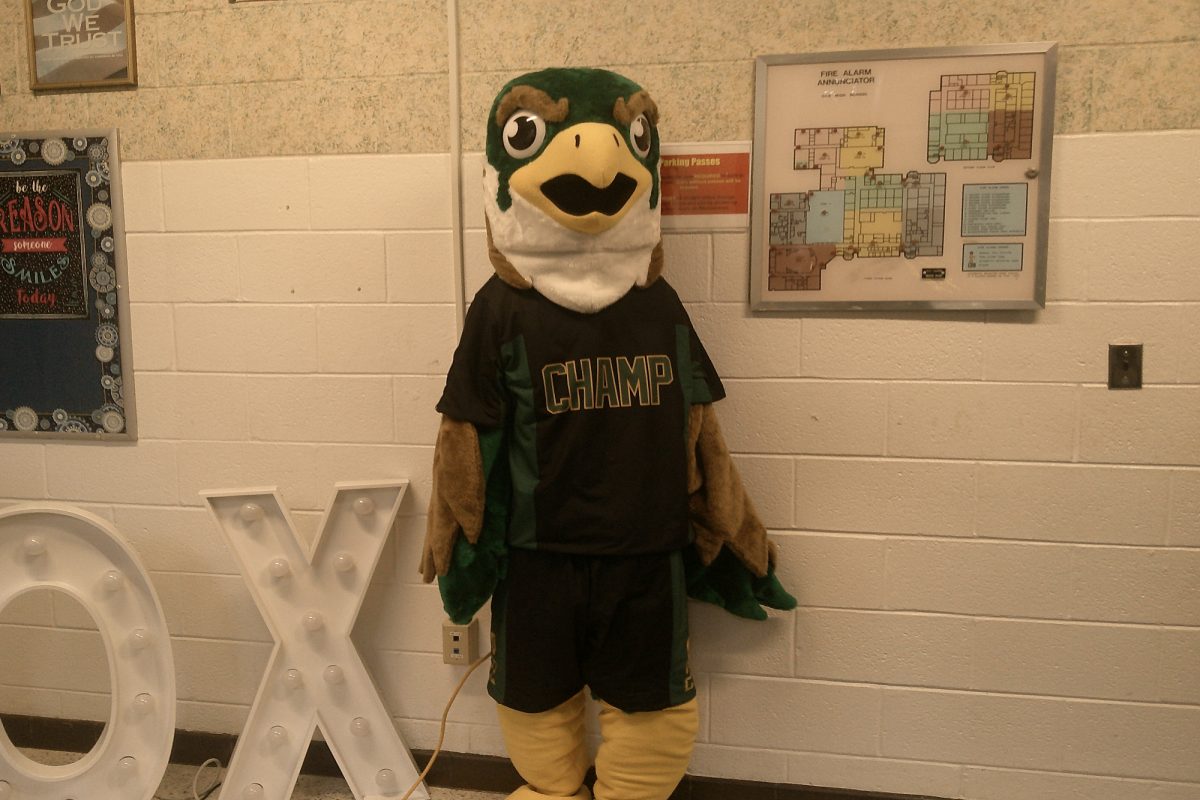 FALCON MASCOT "CHAMP" stands stoically inside the main entrance of the school after cheering at the football game Friday night. Champ is on stand by for next weeks game. 