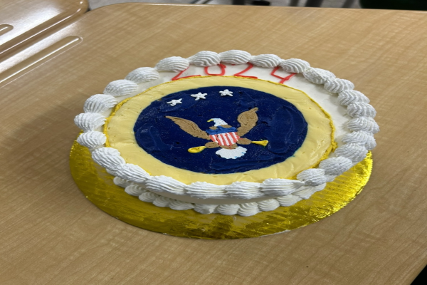 YELLOW AND BLUE layer cake represents the federal and state governments working separately.  Although in the end, they must work together.