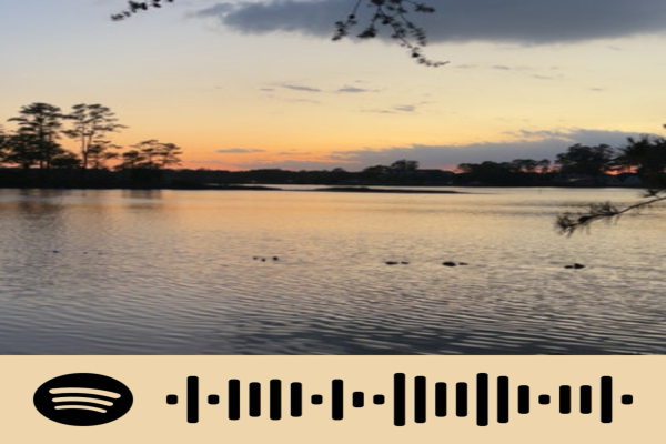 MAY'S SPOTIFY PLAYLIST embodies the feeling of May, warm weather, flowers blooming, and beach days.